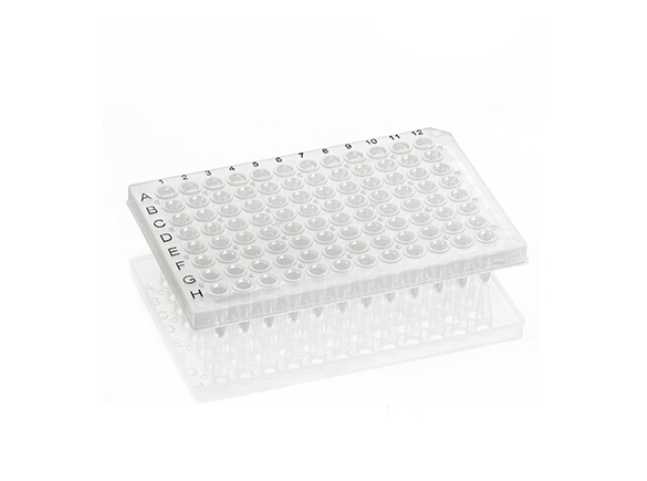 PCR板&膜